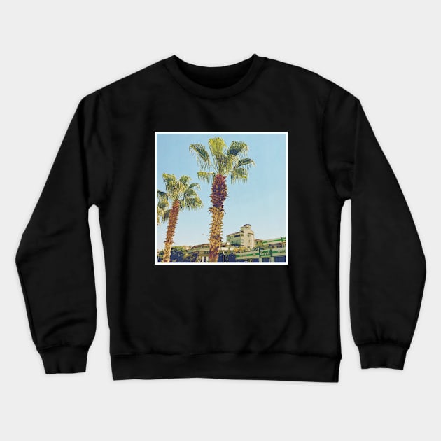 Pretty picture of a Palm Tree. Pretty Palm Trees Photography design with blue sky Crewneck Sweatshirt by BoogieCreates